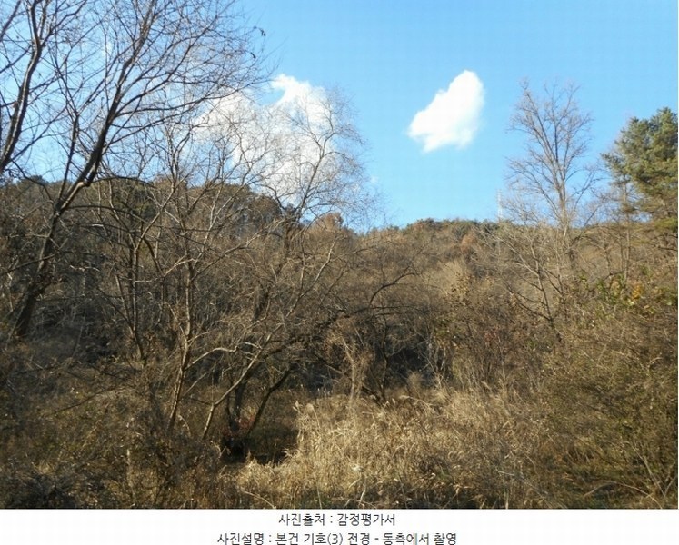 2024타경126802 경상북도 경산시 하양읍 대곡리 산16 임야 경매 이미지