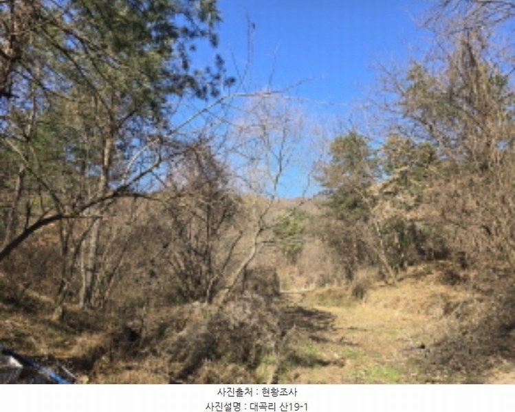 2024타경126802 경상북도 경산시 하양읍 대곡리 산16 임야 경매 이미지
