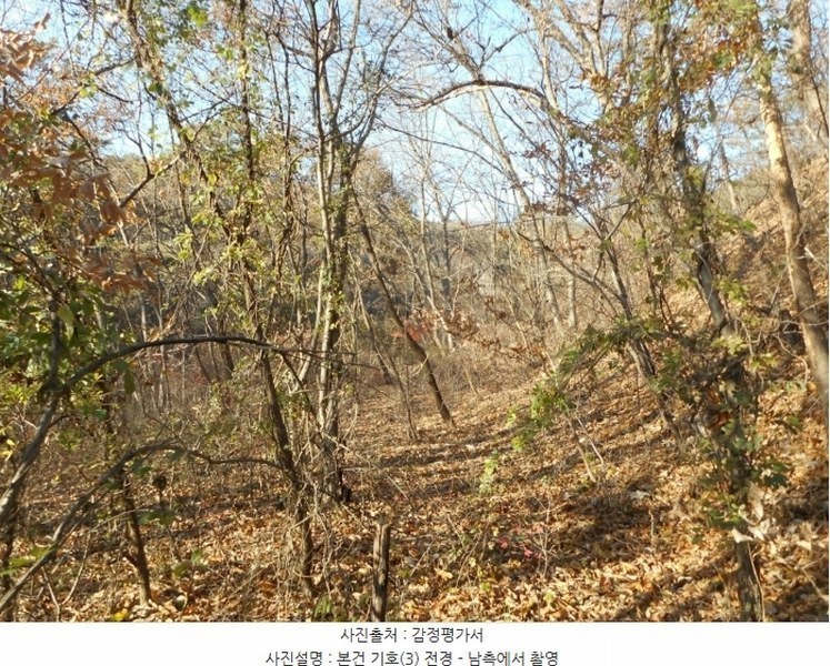 2024타경126802 경상북도 경산시 하양읍 대곡리 산16 임야 경매 이미지