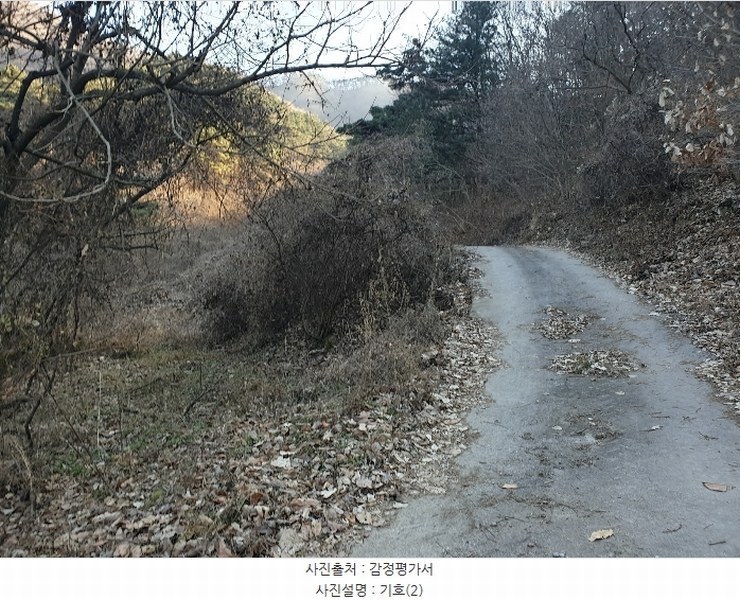 2024타경128099 경상북도 청도군 금천면 김전리 1272 임야 경매 이미지