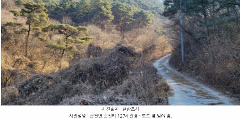 2024타경128099 경상북도 청도군 금천면 김전리 1272 임야 경매 이미지