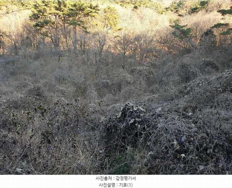 2024타경128099 경상북도 청도군 금천면 김전리 1272 임야 경매 이미지
