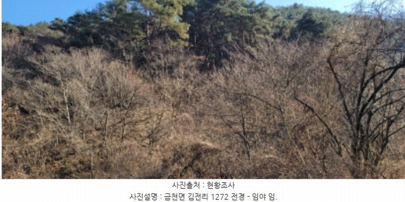 2024타경128099 경상북도 청도군 금천면 김전리 1272 임야 경매 이미지