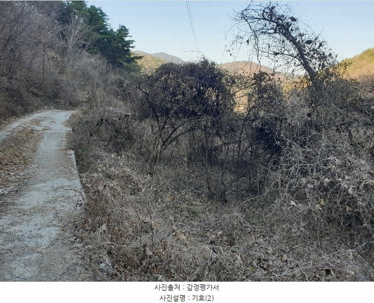 2024타경128099 경상북도 청도군 금천면 김전리 1272 임야 경매 이미지