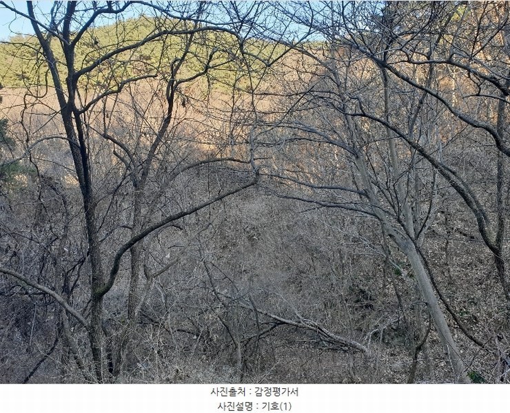 2024타경128099 경상북도 청도군 금천면 김전리 1272 임야 경매 이미지