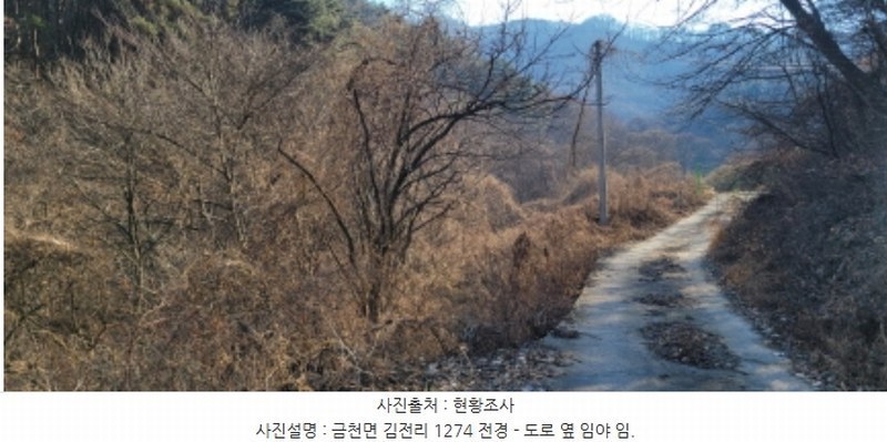 2024타경128099 경상북도 청도군 금천면 김전리 1272 임야 경매 이미지