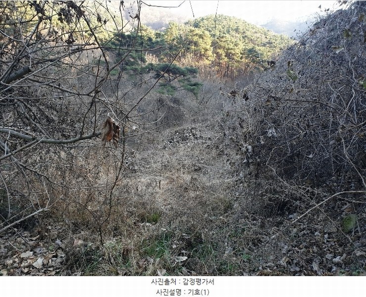 2024타경128099 경상북도 청도군 금천면 김전리 1272 임야 경매 이미지