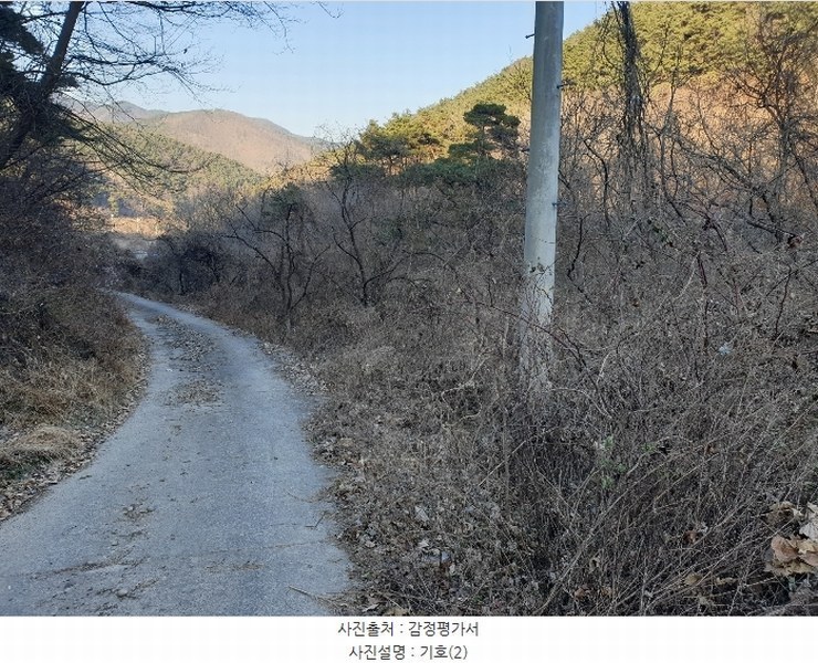 2024타경128099 경상북도 청도군 금천면 김전리 1272 임야 경매 이미지