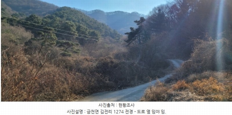 2024타경128099 경상북도 청도군 금천면 김전리 1272 임야 경매 이미지