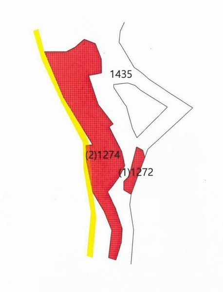 2024타경128099 경상북도 청도군 금천면 김전리 1272 임야 경매 이미지