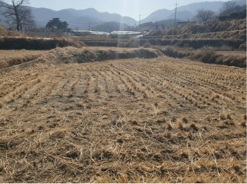 2024타경129801 경상북도 영천시 북안면 상리 377 농지 경매 이미지
