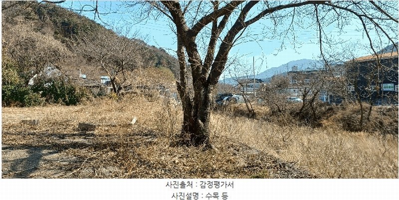 2025타경881 경상남도 양산시 평산동 1050-16 근린시설 경매 이미지
