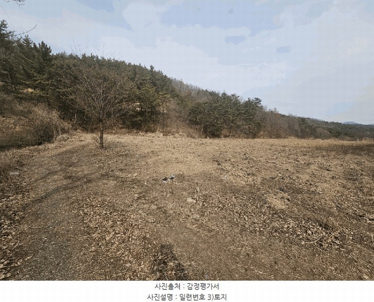 2025타경7452 경상북도 영천시 고경면 상리리 692-2 농지 경매 이미지