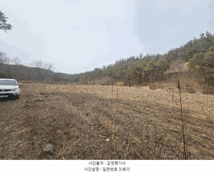 2025타경7452 경상북도 영천시 고경면 상리리 692-2 농지 경매 이미지