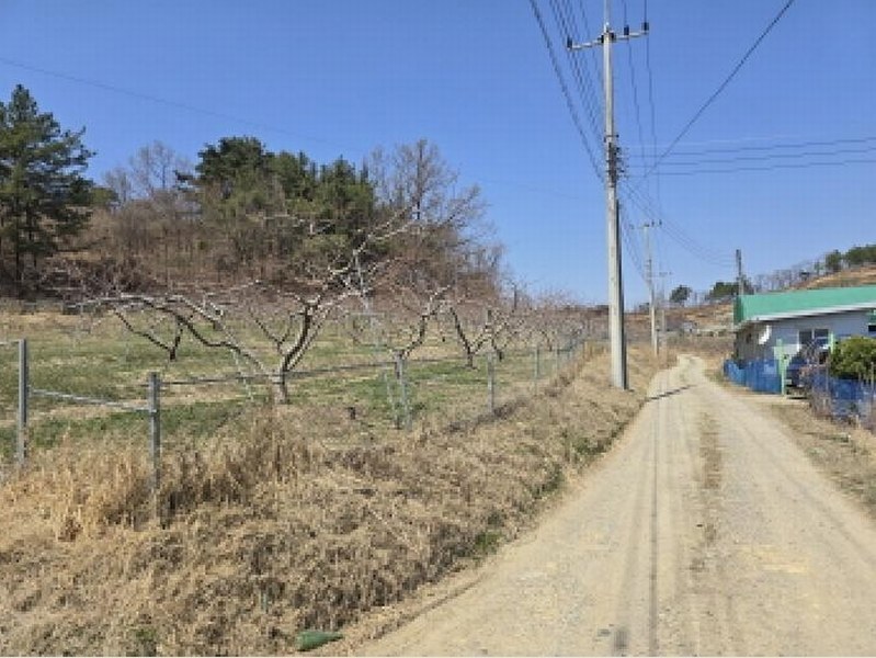 2025타경7573 경상북도 영천시 청통면 애련리 3-1 과수원 경매 이미지