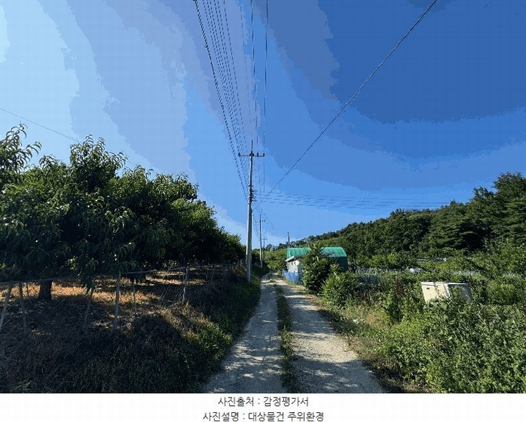 2025타경7573 경상북도 영천시 청통면 애련리 3-1 과수원 경매 이미지