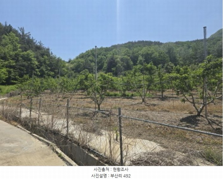2025타경7771 경상북도 영천시 신녕면 부산리 490 농지 경매 이미지