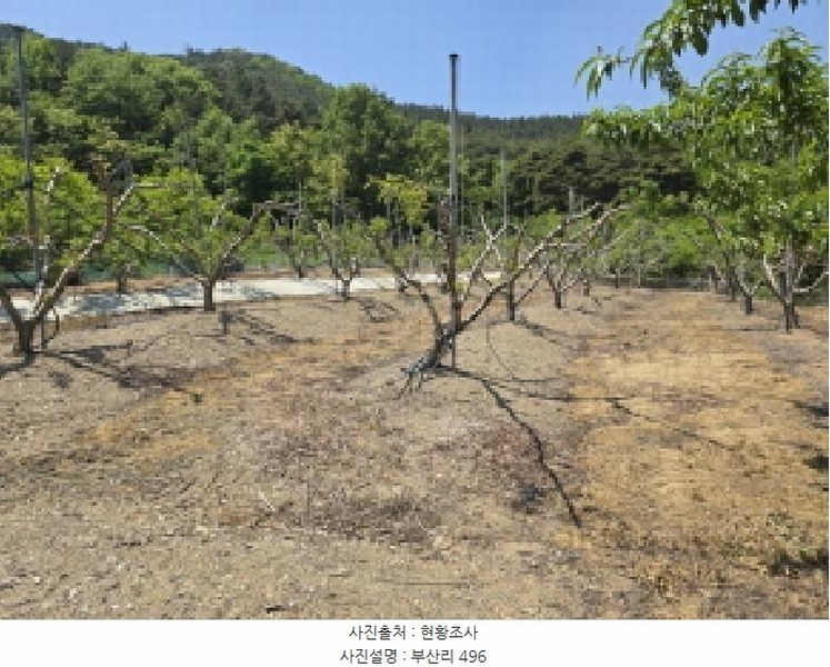 2025타경7771 경상북도 영천시 신녕면 부산리 490 농지 경매 이미지