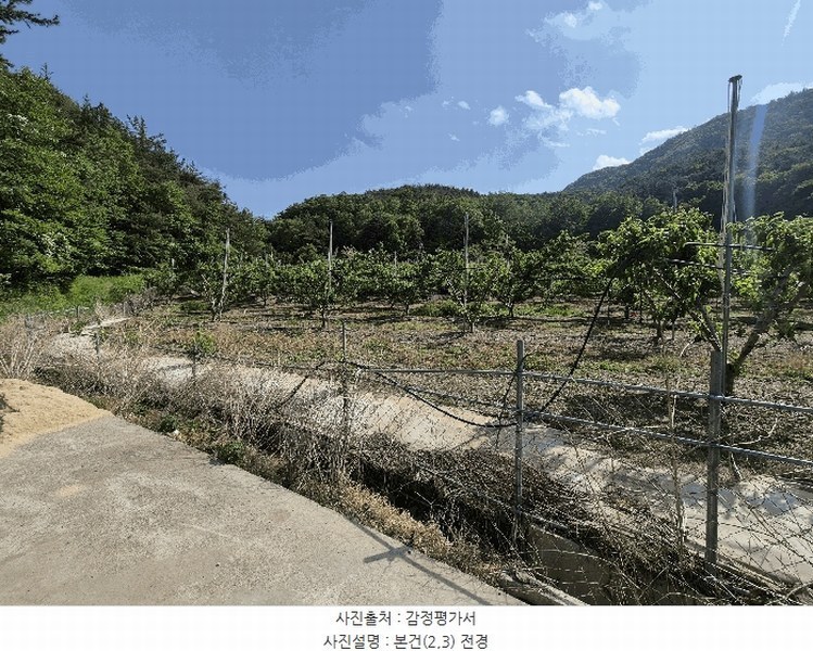 2025타경7771 경상북도 영천시 신녕면 부산리 490 농지 경매 이미지