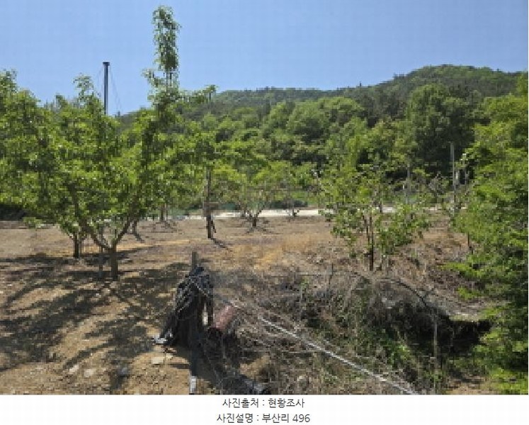 2025타경7771 경상북도 영천시 신녕면 부산리 490 농지 경매 이미지