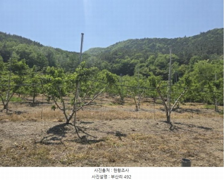 2025타경7771 경상북도 영천시 신녕면 부산리 490 농지 경매 이미지