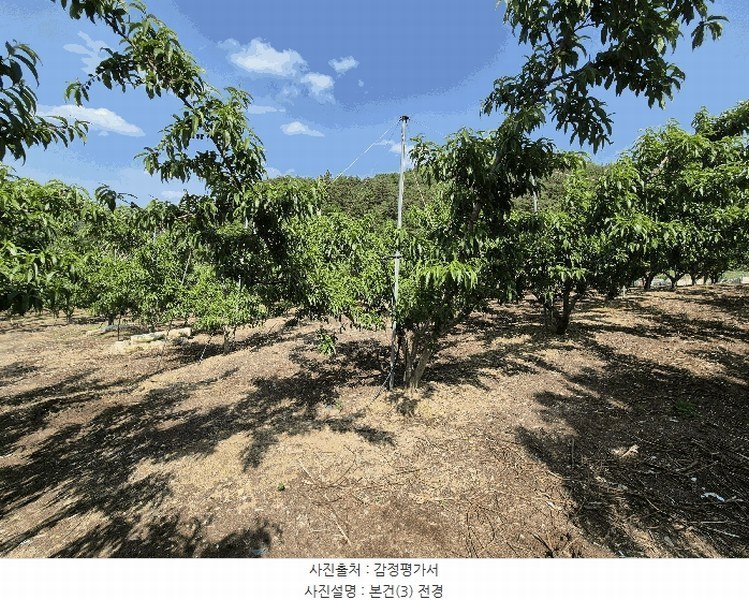 2025타경7771 경상북도 영천시 신녕면 부산리 490 농지 경매 이미지