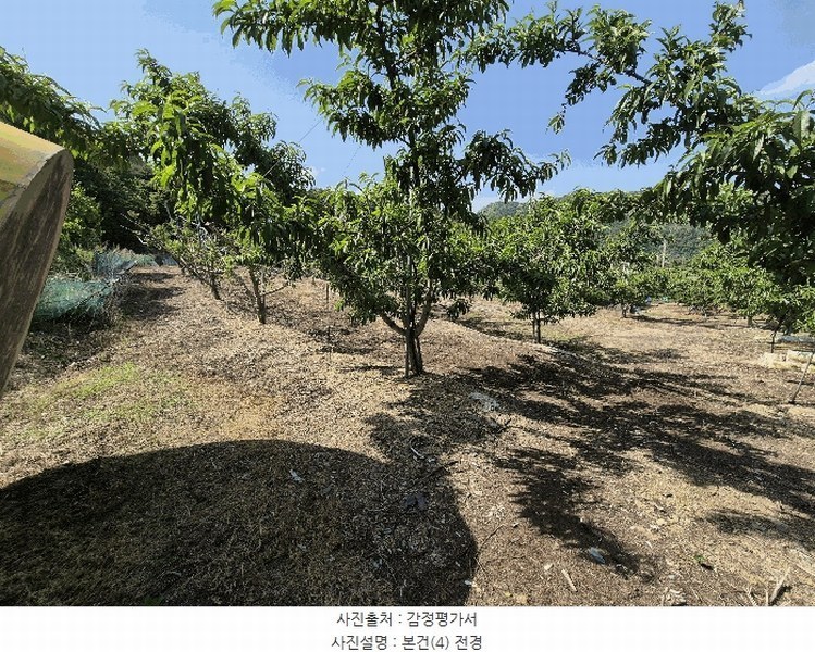 2025타경7771 경상북도 영천시 신녕면 부산리 490 농지 경매 이미지