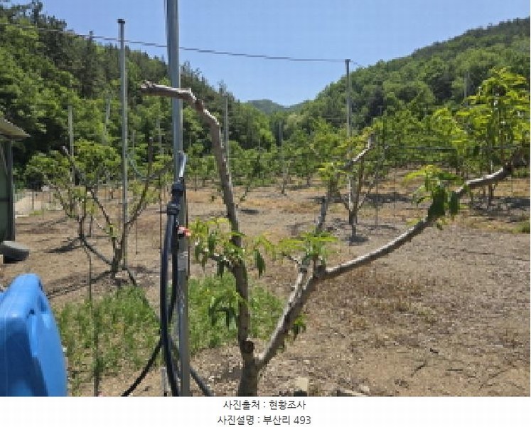 2025타경7771 경상북도 영천시 신녕면 부산리 490 농지 경매 이미지