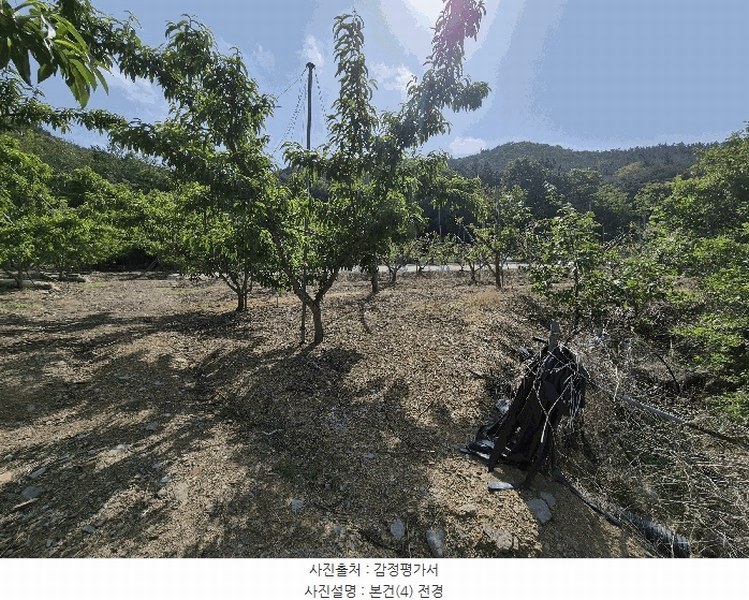 2025타경7771 경상북도 영천시 신녕면 부산리 490 농지 경매 이미지