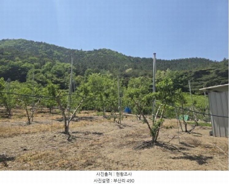 2025타경7771 경상북도 영천시 신녕면 부산리 490 농지 경매 이미지