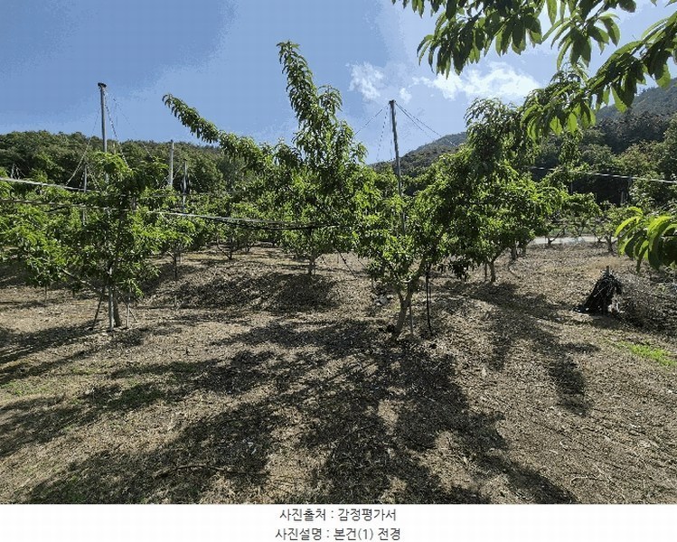 2025타경7771 경상북도 영천시 신녕면 부산리 490 농지 경매 이미지