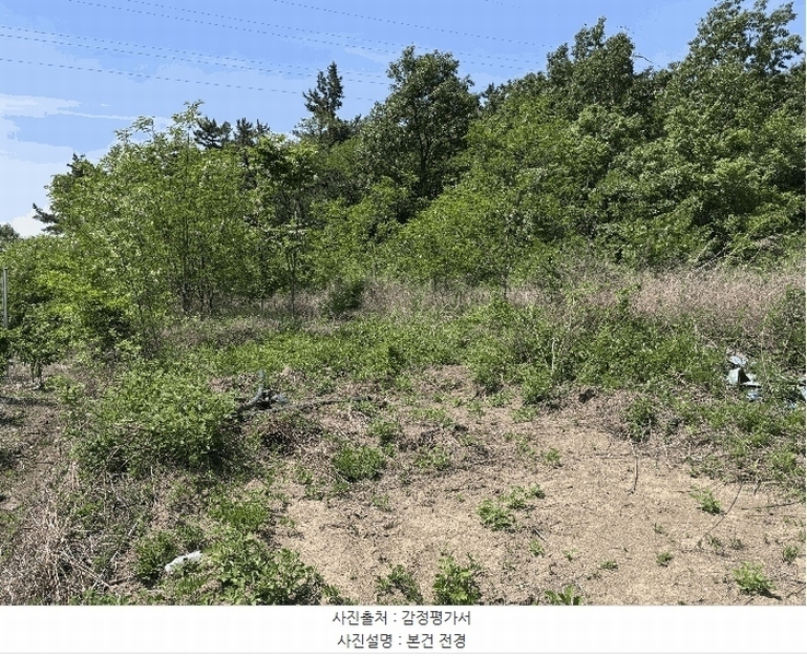 2025타경7837 경상북도 영천시 금호읍 남성리 428 농지 경매 이미지