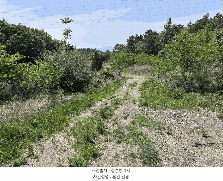 2025타경7837 경상북도 영천시 금호읍 남성리 428 농지 경매 이미지