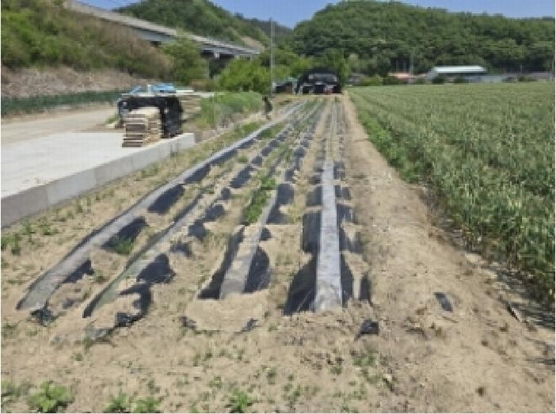 2025타경7848 경상북도 영천시 화산면 덕암리 223 농지 경매 이미지