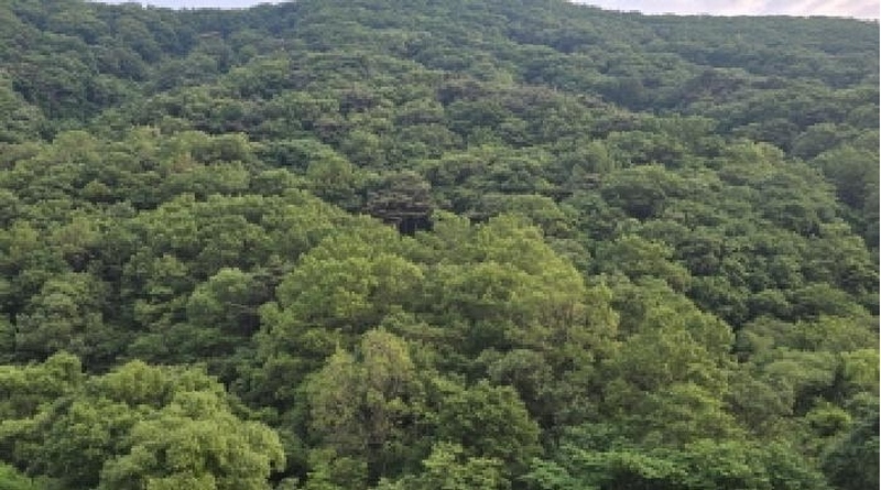 2025타경7914 경상북도 칠곡군 석적읍 성곡리 산69-1 임야 경매 이미지
