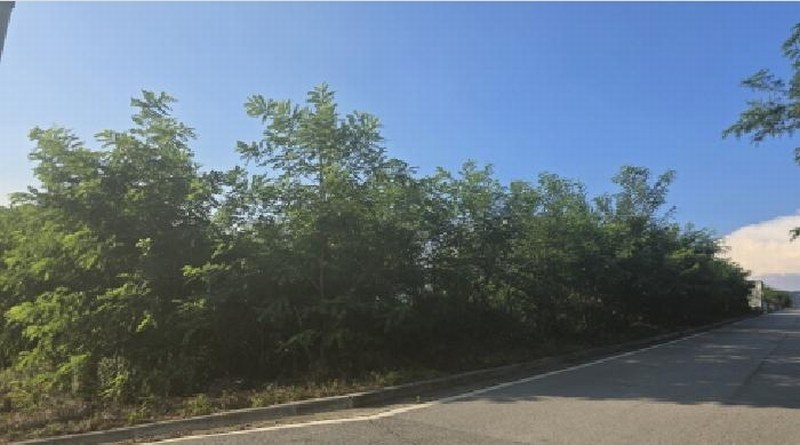 2025타경8431 경상북도 칠곡군 석적읍 남율리 1209 대지 경매 이미지
