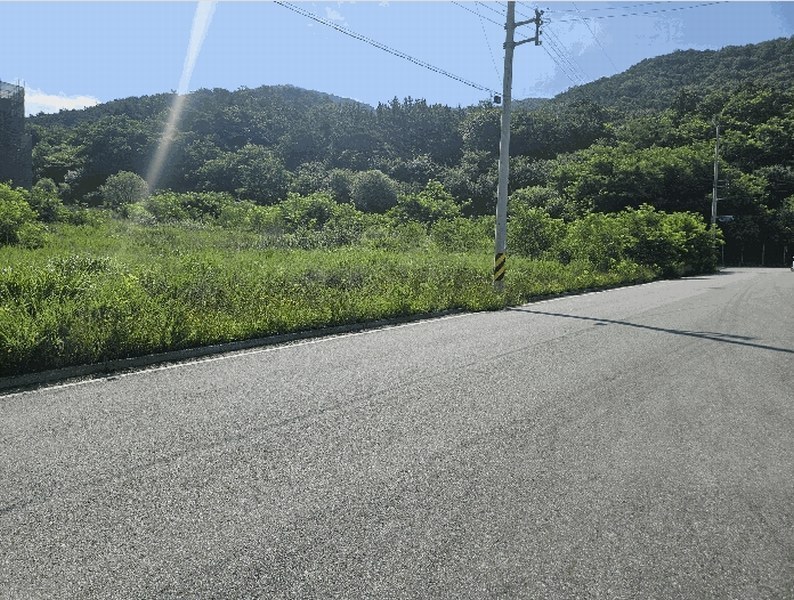 2025타경8431 경상북도 칠곡군 석적읍 남율리 1209 대지 경매 이미지