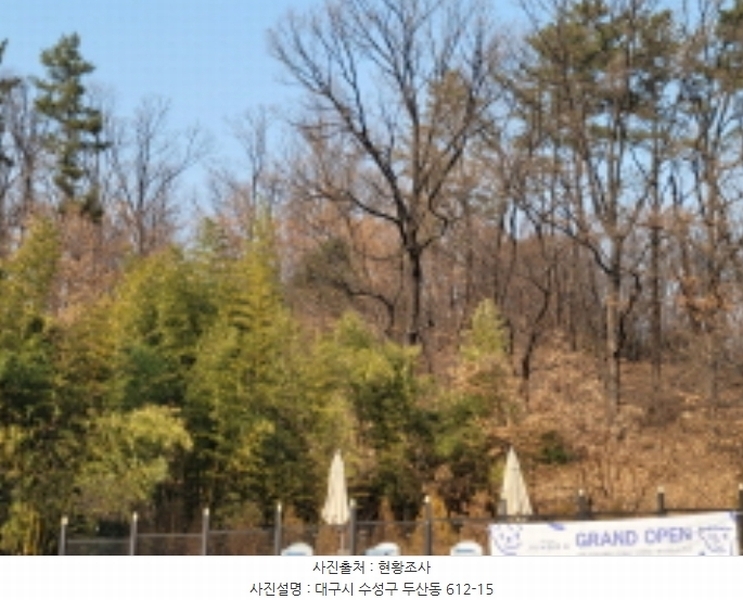 2022타경119343 대구광역시 수성구 두산동 612-15 임야 경매 이미지
