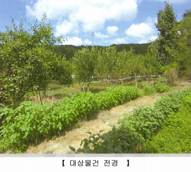 2024타경7864 대구광역시 동구 미곡동 460-1 농지 경매 이미지