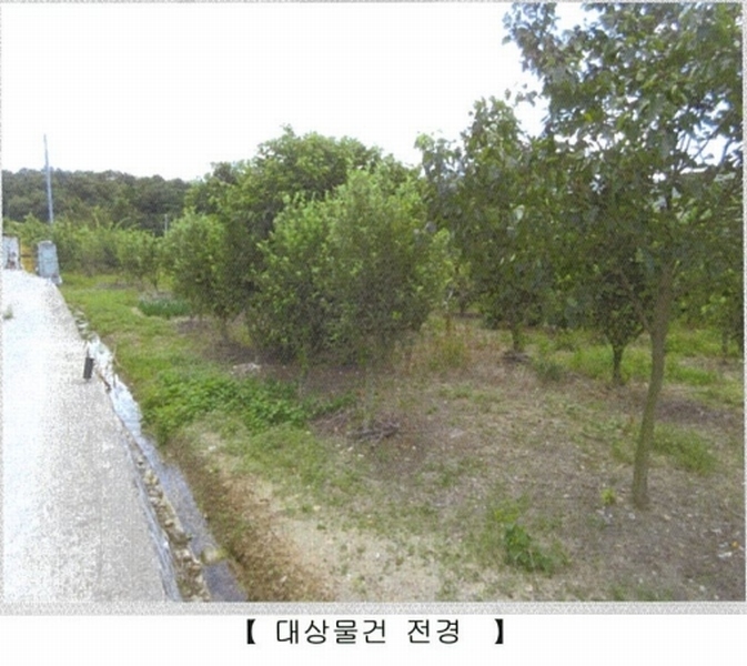 2024타경7864 대구광역시 동구 미곡동 460-1 농지 경매 이미지