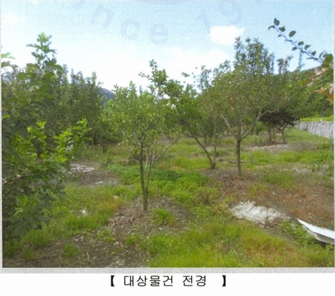 2024타경7864 대구광역시 동구 미곡동 460-1 농지 경매 이미지