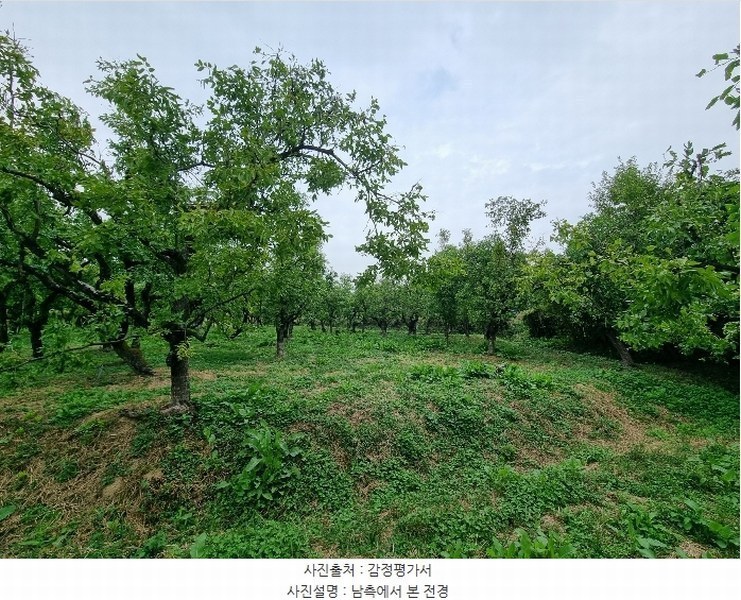 2024타경9808 경상북도 경산시 진량읍 황제리 232-1 농지 경매 이미지
