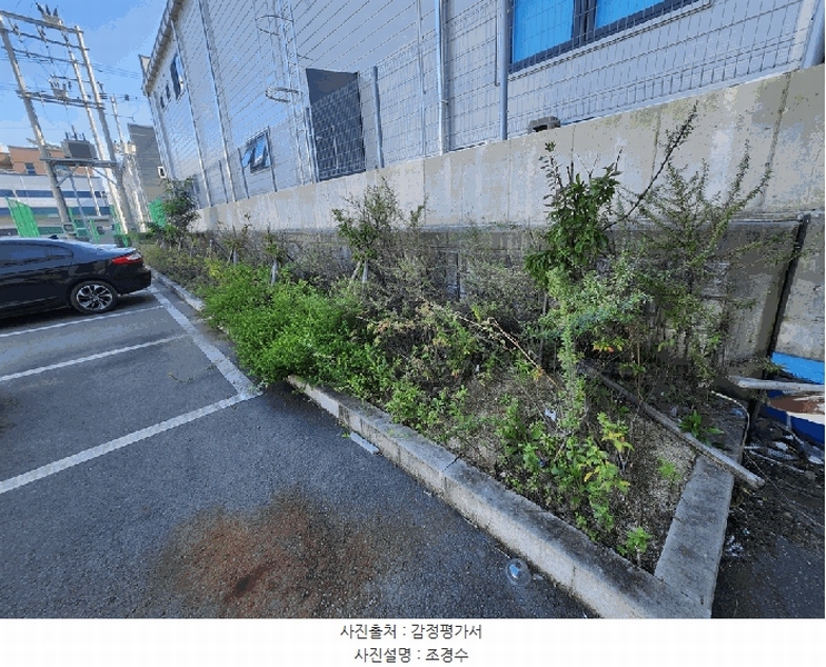2024타경125236 경상북도 경산시 하양읍 대학리 1235 공장 경매 이미지
