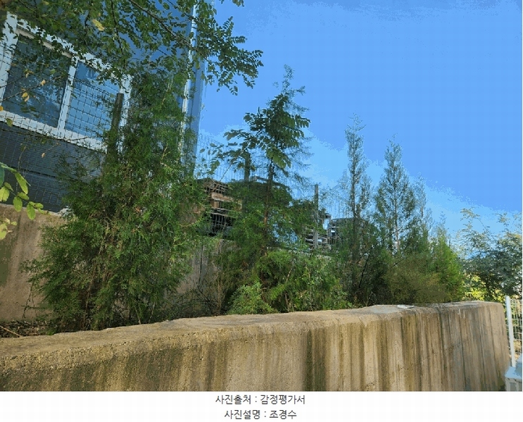 2024타경125236 경상북도 경산시 하양읍 대학리 1235 공장 경매 이미지