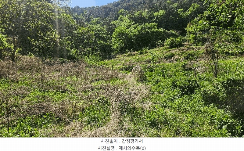 2025타경672 경상남도 진주시 진성면 대사리 1392 농지 경매 이미지