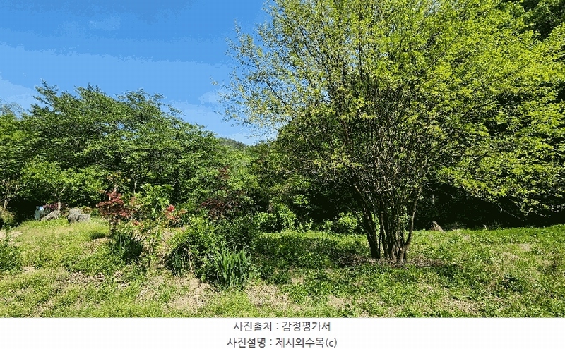 2025타경672 경상남도 진주시 진성면 대사리 1392 농지 경매 이미지