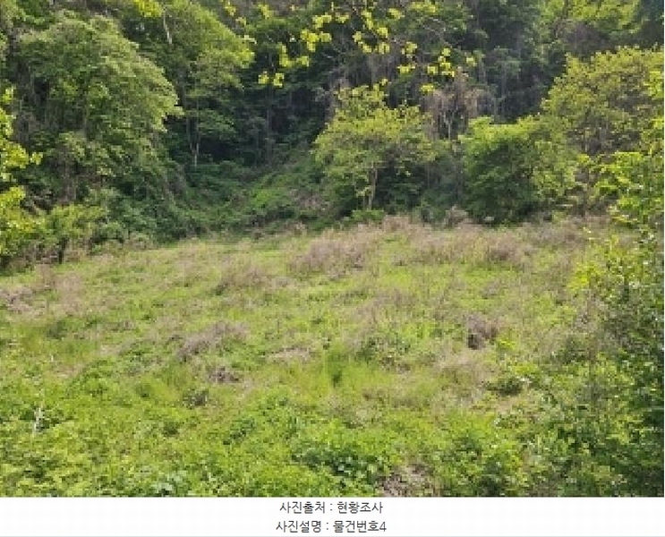 2025타경672 경상남도 진주시 진성면 대사리 1392 농지 경매 이미지