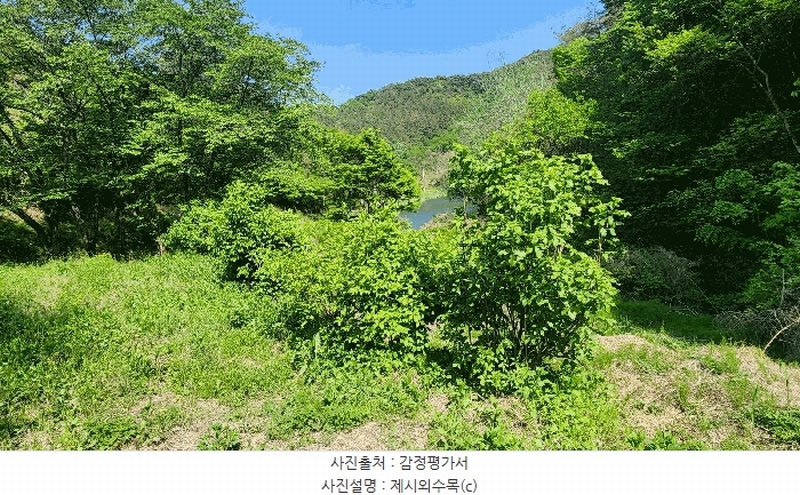 2025타경672 경상남도 진주시 진성면 대사리 1392 농지 경매 이미지