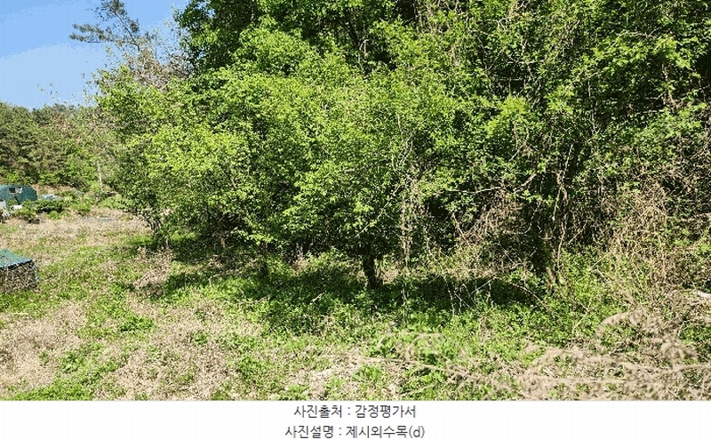 2025타경672 경상남도 진주시 진성면 대사리 1392 농지 경매 이미지