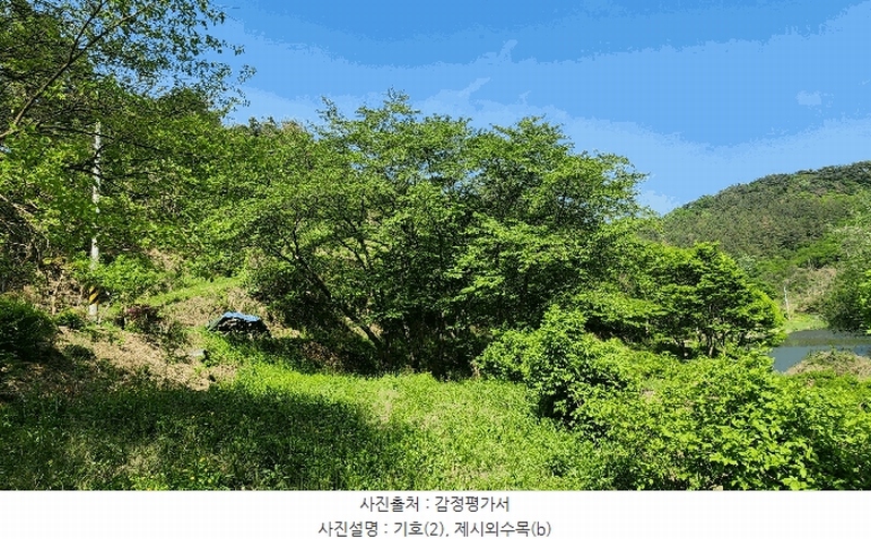 2025타경672 경상남도 진주시 진성면 대사리 1392 농지 경매 이미지